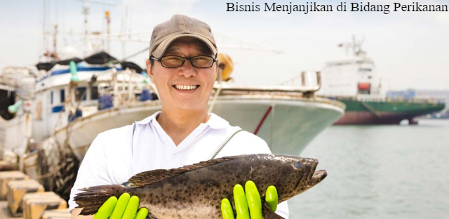 5 Dampak Sampah Plastik di Laut yang Berbahaya bagi Kehidupan