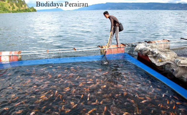 Wanamina: Budidaya Perairan dan Konservasi Mangrove