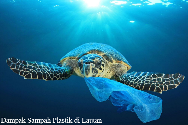 5 Dampak Sampah Plastik di Laut yang Berbahaya bagi Kehidupan