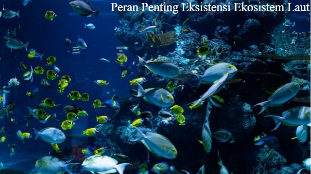 Inilah 4 Peran Penting Bagi Eksistensi Ekosistem Laut di Bumi