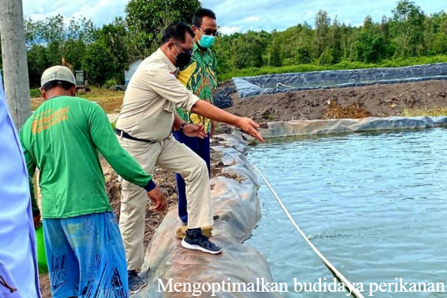 Mengoptimalkan Budidaya Perikanan Melalui Pendekatan Ekosistem, Pinrang adalah salah satu contohnya